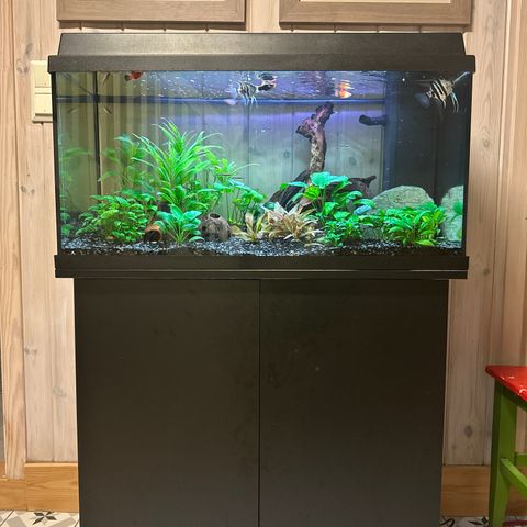 Juwel akvarium 110 liter