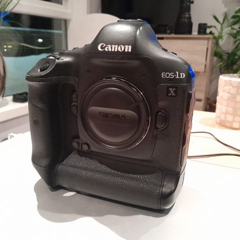 Canon 1dx