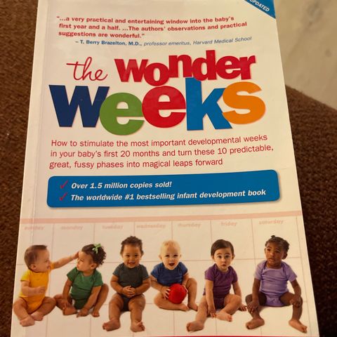 the wonder weeks