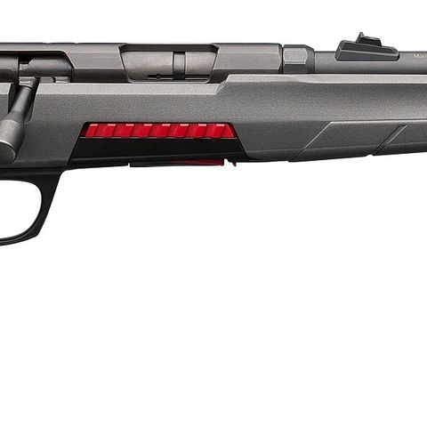 Winchester Xpert 22 LR