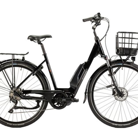 Ecoride Ambassador AXS -9