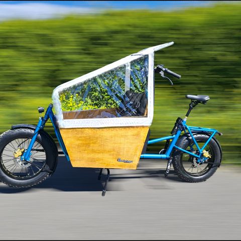 Lastesykkel, cargobike