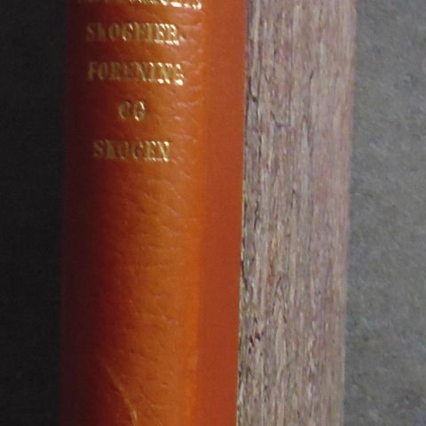 Annonsebilde