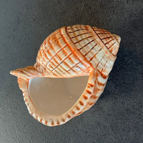 Annonsebilde