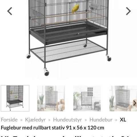 Annonsebilde