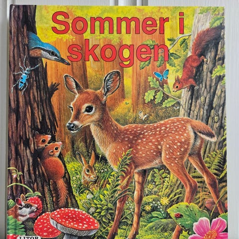 Annonsebilde