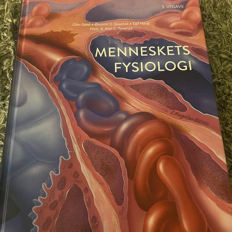 Annonsebilde