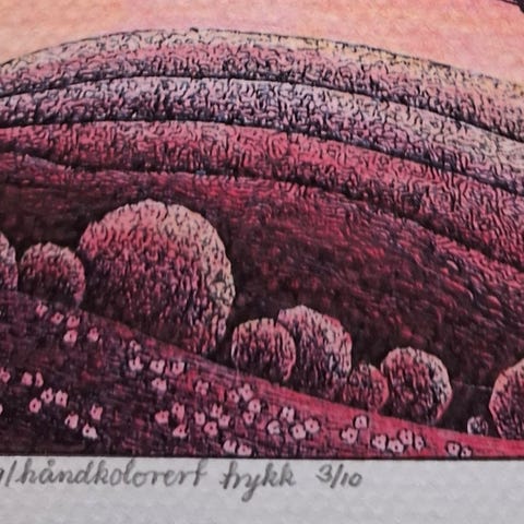 Annonsebilde