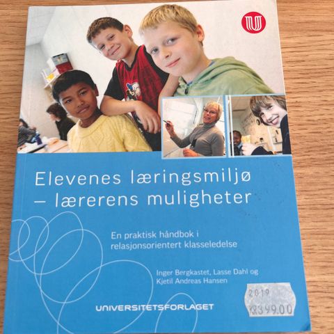 Elevenes læringsmiljø - lærerens muligheter