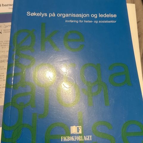 Søkelys på organiasasjon og ledelse