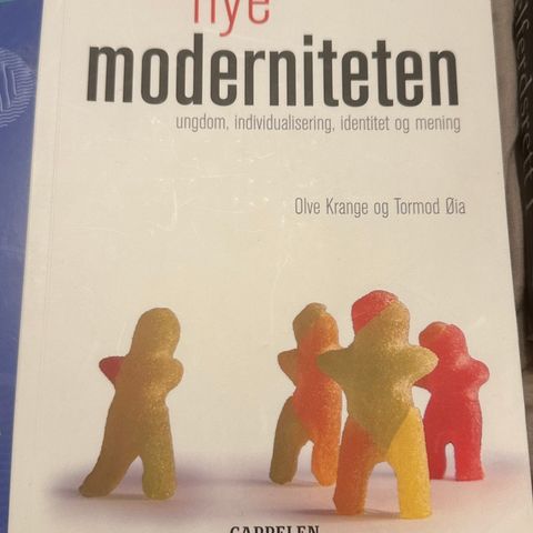 Den nye moderiteten