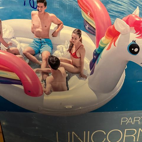 Party unicorn