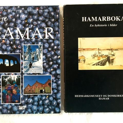 2 lokalhistoriske bøker om HAMAR
