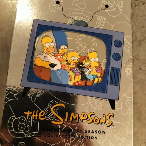 The Simpsons - First Season - Collectors Edition ( DVD)