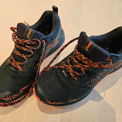 Asics Gel-Fujisetsu 3 GTX (38)