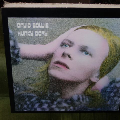 LP / Vinyl David Bowie 9 LP 'er + 1 vinylboks