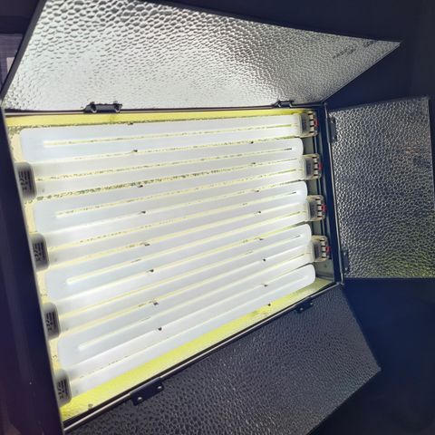 Videolys (440W 8bank fluoriscerende lys)