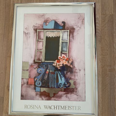 Bilde fra Rosina Wachtmeister