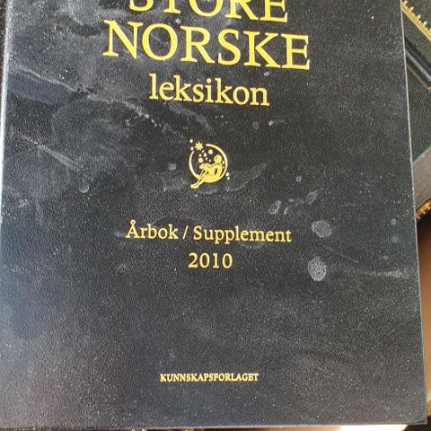 Aschehoug og Gyldendal Store Norske Leksikon