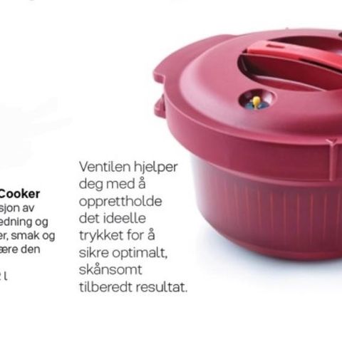 Tupperware Fast Cooker