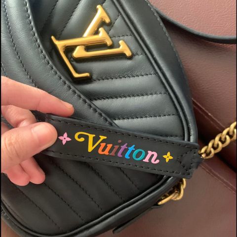 Louise Vuitton Camera bag