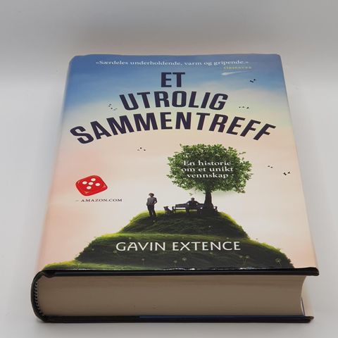 Et utrolig sammentreff - Gavin Extence