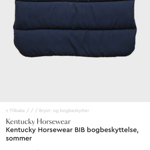 Kentucky horsewere bib