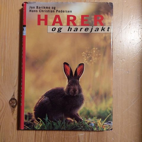 Harejakt