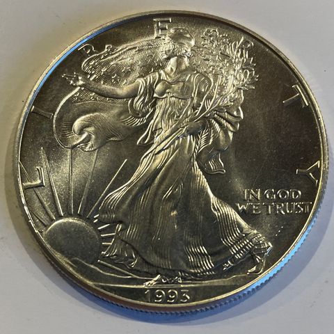 1993 American Silver Eagle 1 OZ sølv