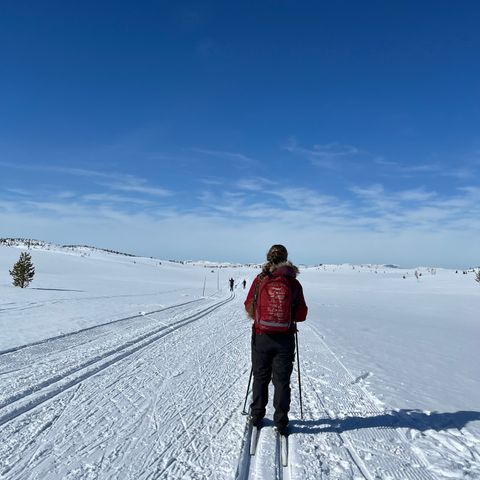 Fjellreven turbukse str 44. Klar for nye eventyr!