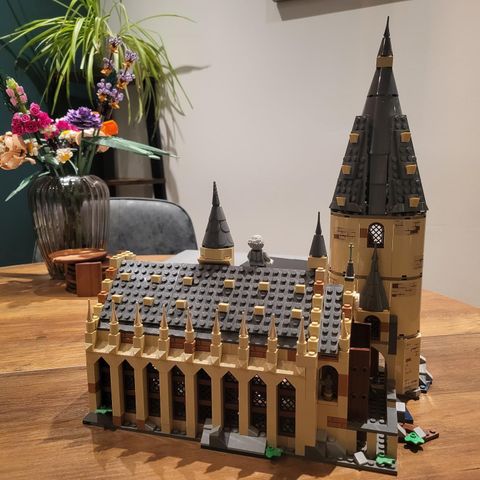 Hogwarts Great Hall 75954 komplett