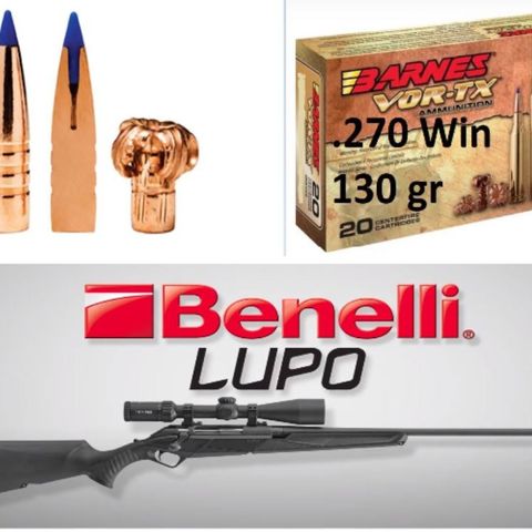 Ammo 270 Win, 30-06, kal12, Benelli Lupo 270 m Kikkert/demper, hylser