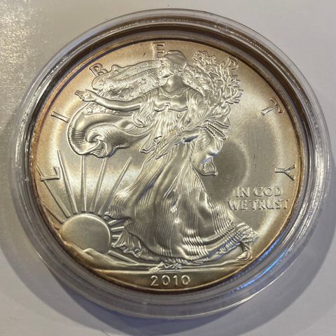 2010 American Silver Eagle 1 OZ sølv