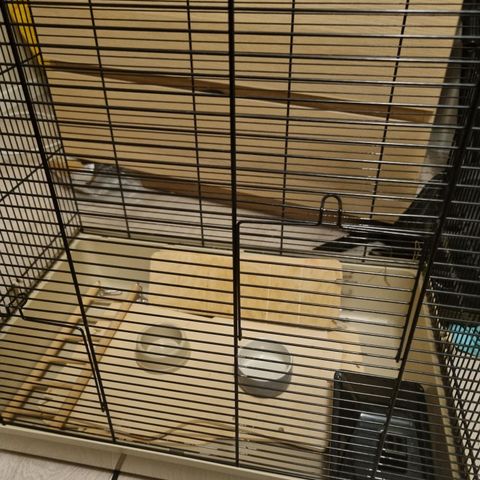 NY PRIS! Hamster bur med mer