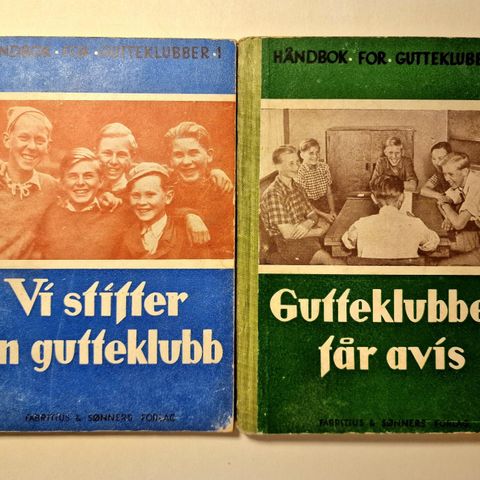 Sjeldne antikvariske vintage bøker (15 stk)