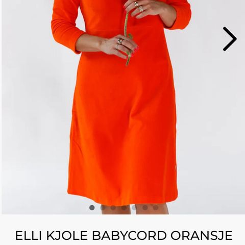 Elli kjole fra Koko Norway
