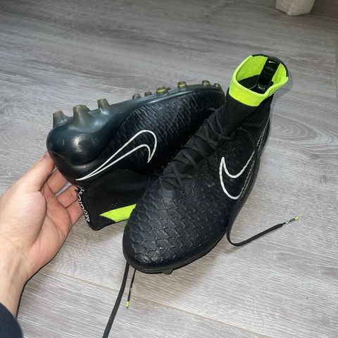 Magista