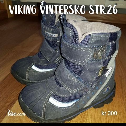 Vintersko Viking