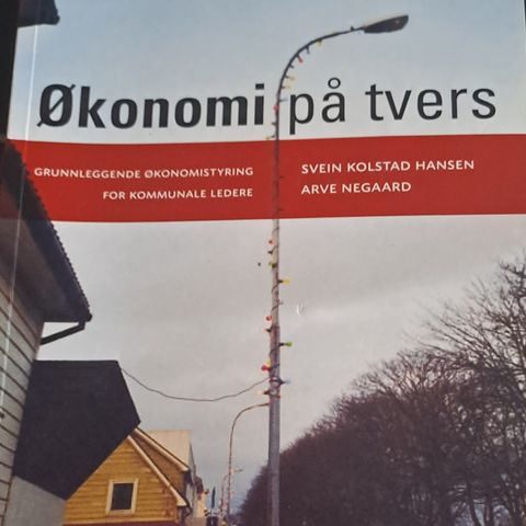 Økonomi på tvers