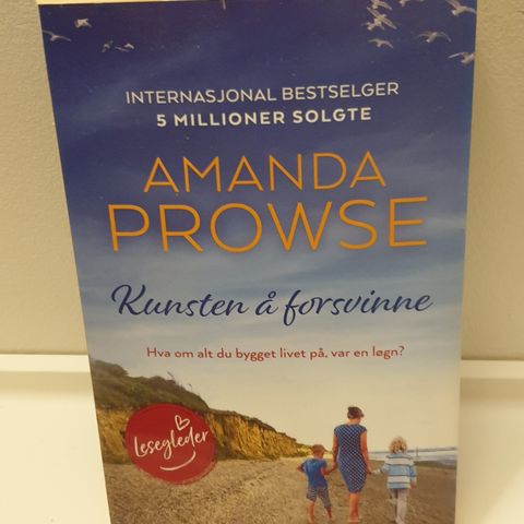 Bok"Kunsten å forsvinne" av Amanda Prowse