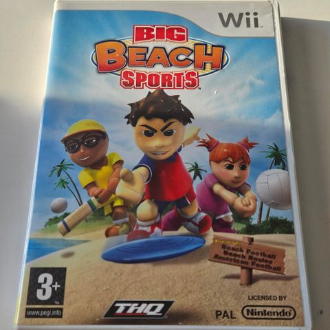 Big Beach Sports - Nintendo Wii