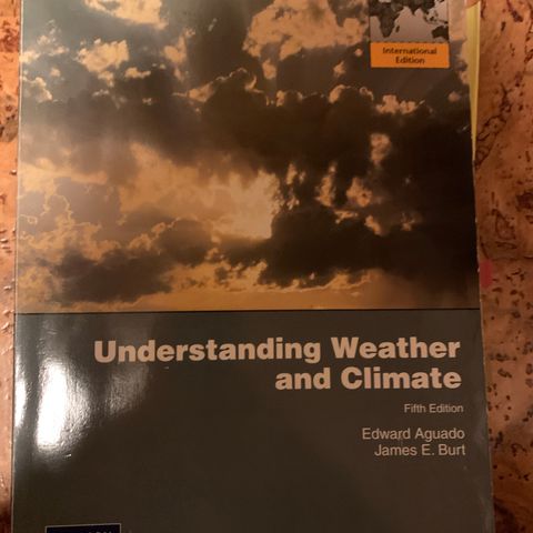 Understanding Weather and Climate av Aguado og Burt