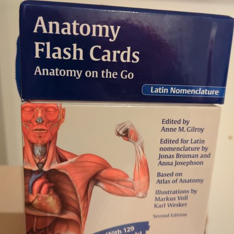 Thieme Anatomy Flash Cards - som nytt