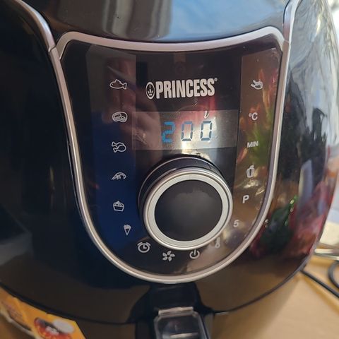 Princess xxl air fryer