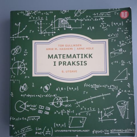 Matematikk i praksis