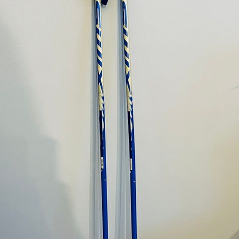 Swix Touring skistaver