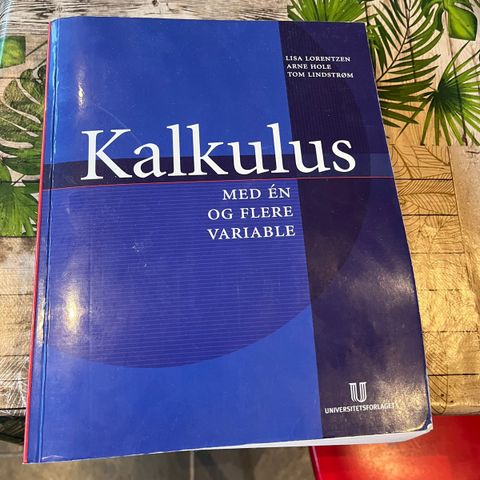 mattebok kalkulus  med en og flere variable.