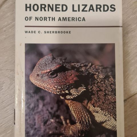 Introduction to Horned Lizards