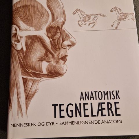 Anatomisk Tegnelære 2006