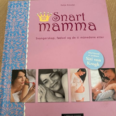 Snart mamma - svangerskap, fødsel og de ti månedene etter